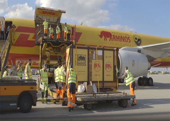 100 kg DDP Servicio de mensajería expreso mundial