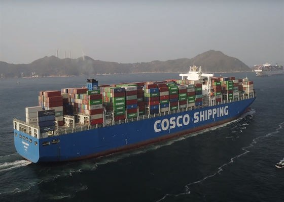 DDU LCL FCL Puerta a puerta Transporte marítimo internacional Logística marítima internacional