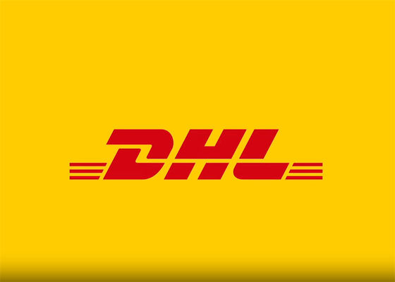 100 kg DDP Servicio de mensajería expreso mundial