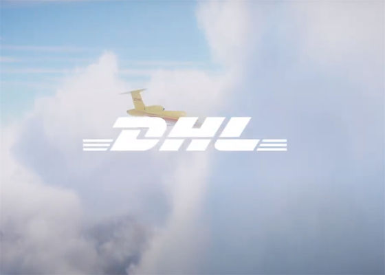 Servicio puerta a puerta DDP Envío internacional Carga aérea Carga 3-5 días