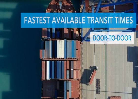 Transporte internacional de mercancías por mar desde Guangzhou a los EE.UU. y Europa