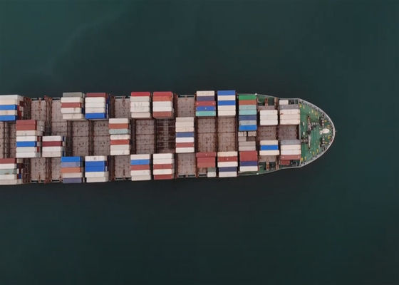 25-30 días Global puerta a puerta Envío en el extranjero DDP Transporte de mercancías