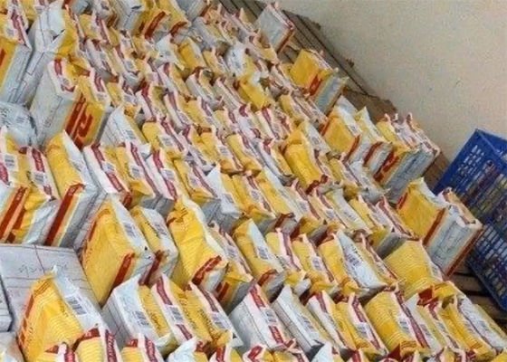 A tiempo FedEx UPS DHL Carga internacional desde Guangzhou China a América del Norte